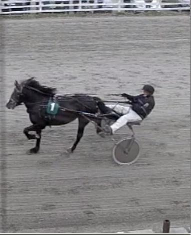 Løp 4 Båt-Holms løp Kaldblods. 3-årige og eldre upremierte 1 Nr 1 Turbo Lotta 4 Inger Lund Karoline Solberg 1900 1.41,5 3:12,9 2 Nr 3 Britta Lill 4 Brit Inger Wahl Ole-Christian Kjenner 1900 1.