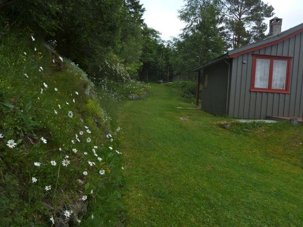 KONSEKVENSUTREDNING NATURMILJØ 43 (47) Figur 12. Hyttetomta sett mot øst. Både kantsoner, men også selve plenarealet er stedvis artsrikt med høyt innslag av naturengplanter.