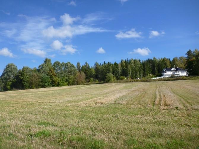 Foto t.v.: Utsikt mot planområdet (i bakkant av bolighuset) sett mot øst/sørøst.