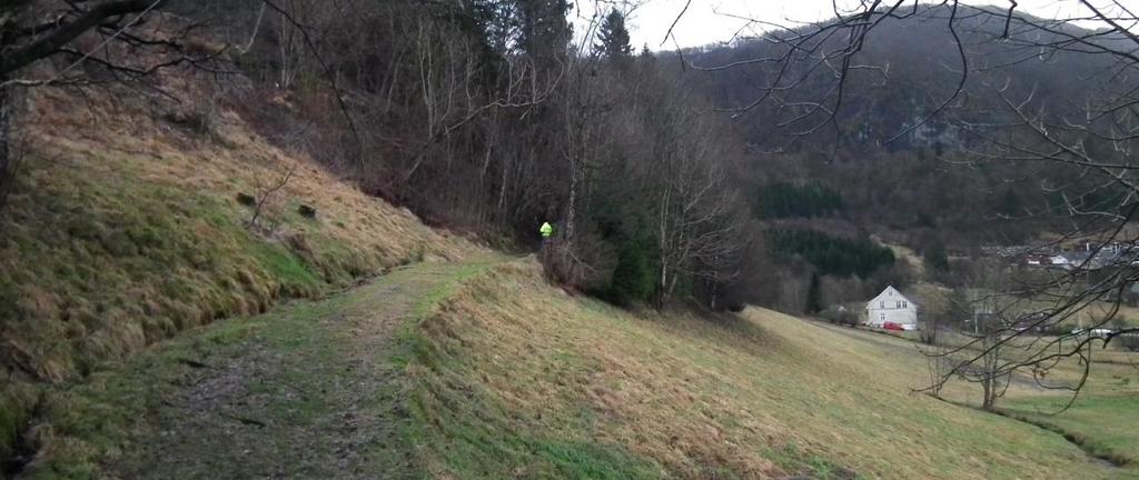 Lokalitet A Figur 7: Lokalitet A sett fra nordvest. Bekken kan sees nede til høyre i bildet. Det er stedvis brattere enn hva bildet gir inntrykk av.