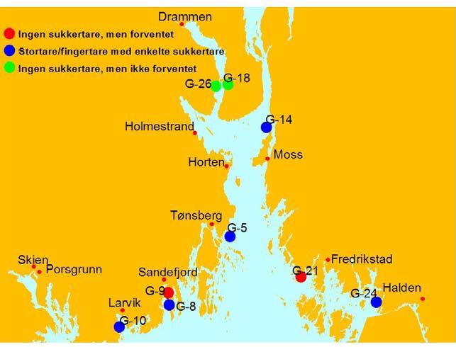 OVERVÅKING AV EUTROFITILSTANDEN I YTRE OSLOFJORD; SAMLERAPPORT 3.3 Sukkertareforekomst Det er i de siste årene observert en tilbakegang av sukkertareforekomst langs kysten av Oslofjorden og Skagerrak.