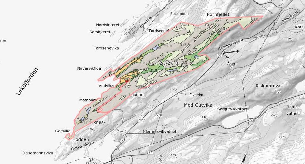 Hjemmel for vedtak Delegasjonsreglementets kap II 3A, 2a) Saksgrunnlag Tore Grongstad søkte i månedskiftet november/desember 2016 om konsesjon for erverv av eiendommen Vedvika gnr. 2, bnr.