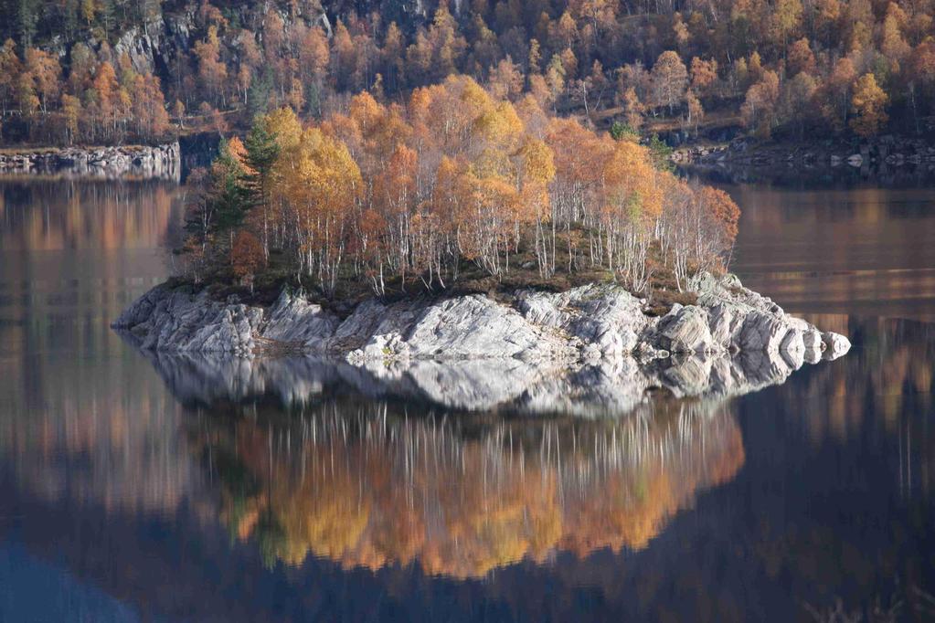 Mer informasjon om vannforvaltningsarbeidet i Rogaland: