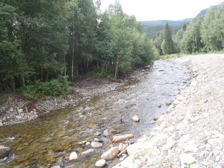 Diskusjon økologisk tilstand Tettheten på begge stasjonene er lav, sett i forhold til at dette er et allopatrisk habitat. Stasjon 1 havner i klassen «svært dårlig» som følge av dette.