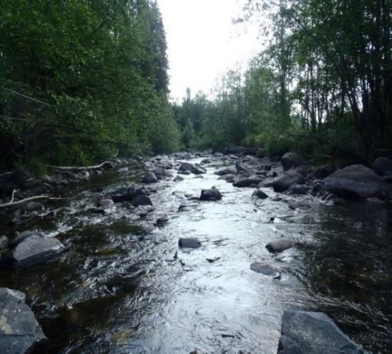 Denne stasjonen er ikke et godt oppvekst- og rekrutteringsområde for aure slik elva fremstår i dag. Det var tidligere et kunstig vandringshinder ved brua (FV.