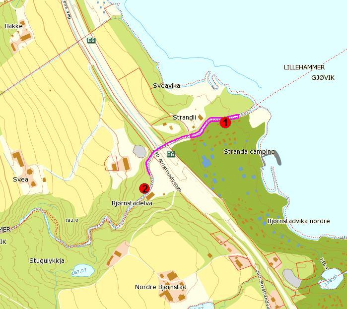 11 Bjørnstadelva Kommune: Gjøvik Koordinater UTM 32V: Stasjon 1: 578306 6766555 Stasjon 2: 578182 6766400 Dato: 12.07. auren (Gregersen 2009).