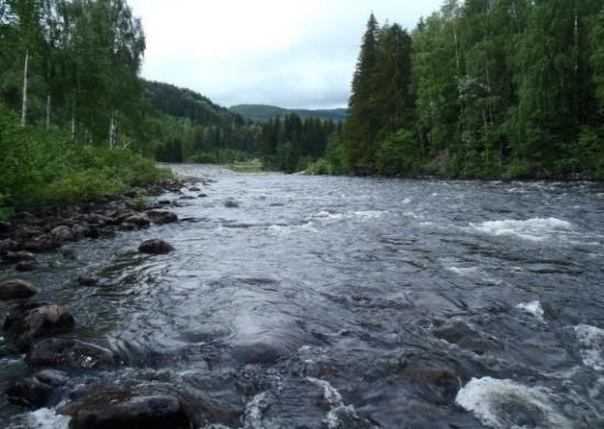 Økologisk tilstand med hensyn til fisk og hydromorfologiske endringer i Etna.