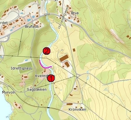 22 Landåselva Kommune: Søndre Land Koordinater UTM 32V: Stasjon 1: 566424 6741314 Stasjon 2: 566391 6741513 Dato: 26.07. Landåselva, også kalt Kronborgelva, renner ut i nordre del av Randsfjorden.