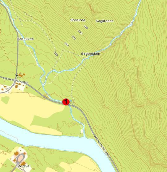 24 Sagbekken/Liabekken Kommune: Sør Aurdal Koordinater UTM 32V: Stasjon 1: 538019 6735805 Dato: 22.08. Sagbekken og Liabekken kommer nordfra og munner ut i Begna.