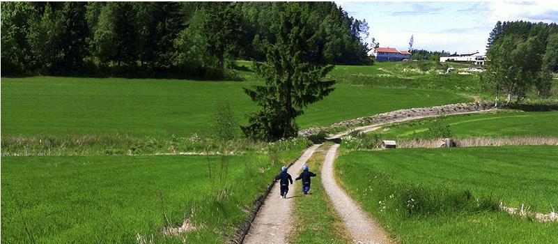 Forholdet til overordnede planer og mål Barn og unge Næringsliv og sysselsetting Trafikk Støy og annen forurensning Biologisk mangfold og naturressurser Friluftsliv Kulturminnevern Kulturlandskap og