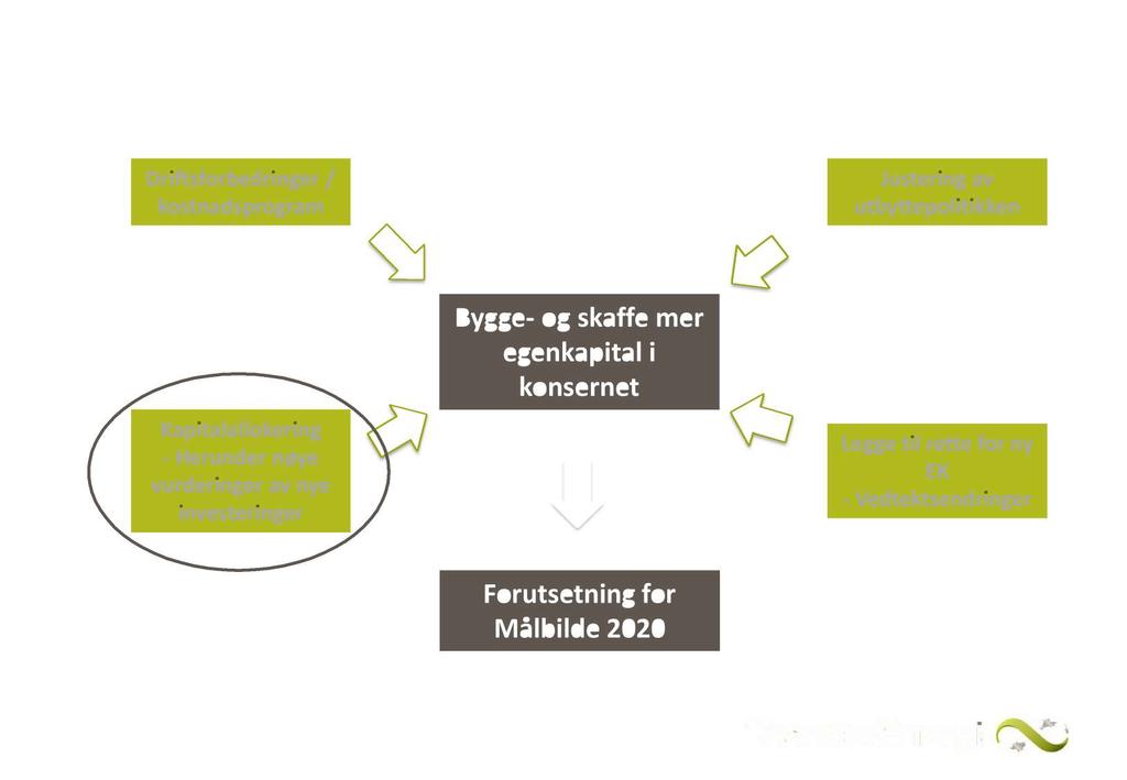 Samtidig laget vi en masterplan for tiltak både internt i selskapet og hva eierne burde