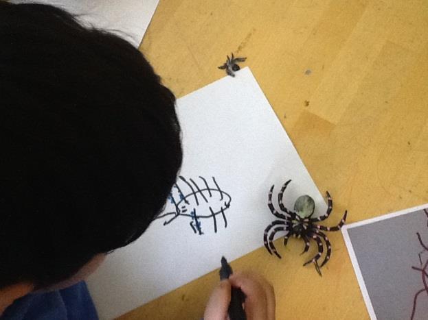 Forming: Barna er opptatte av detaljer hos edderkoppen og får disse