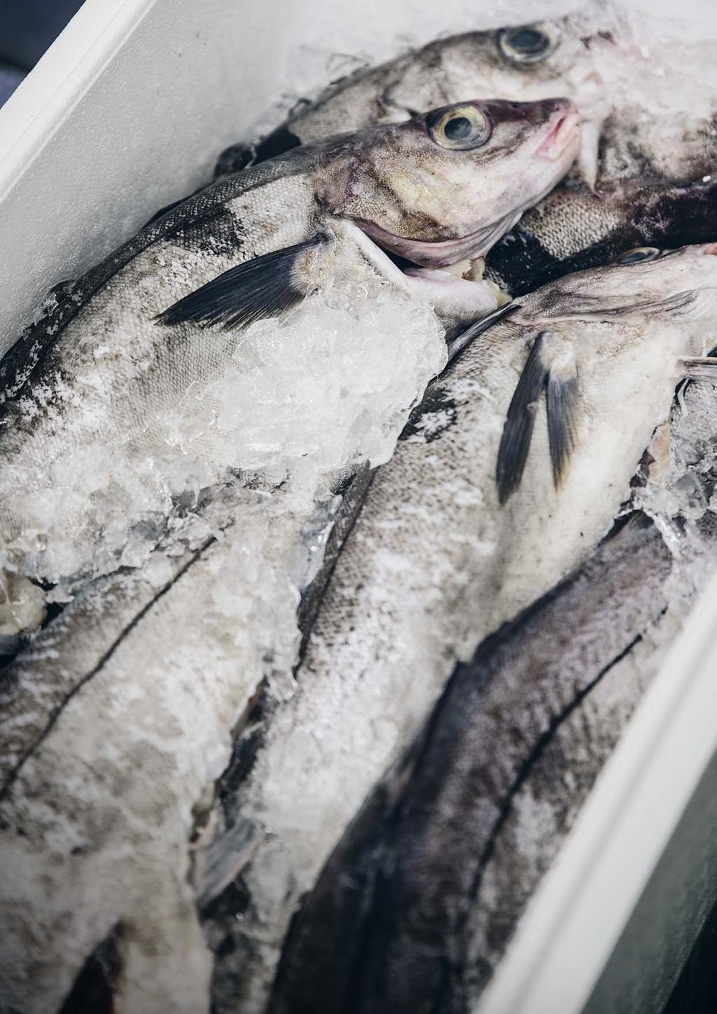 INNLEDNING Hva er en god sommerrestaurant? En som serverer svinefilet og pommes frites? Noe som passer alle? Ikke hvis du spør Thomas Sjögren, Årets Kock 2015.