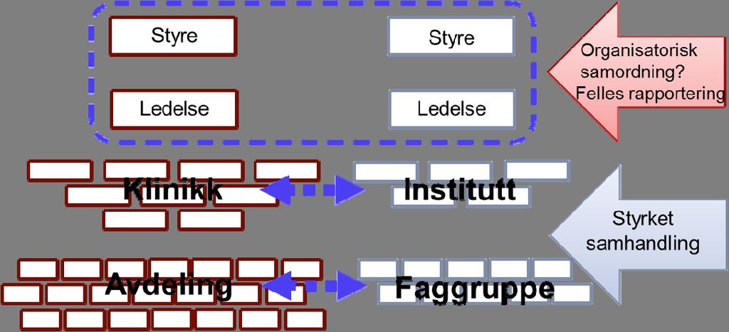 I vedlegg 1 til prosjektplanen er kort omtalt samarbeidsmodellen Academic Health Science Centre (AHSC), samt inntrykk av modeller for samorganisering etter besøk ved Karolinska Institutet i Stockholm