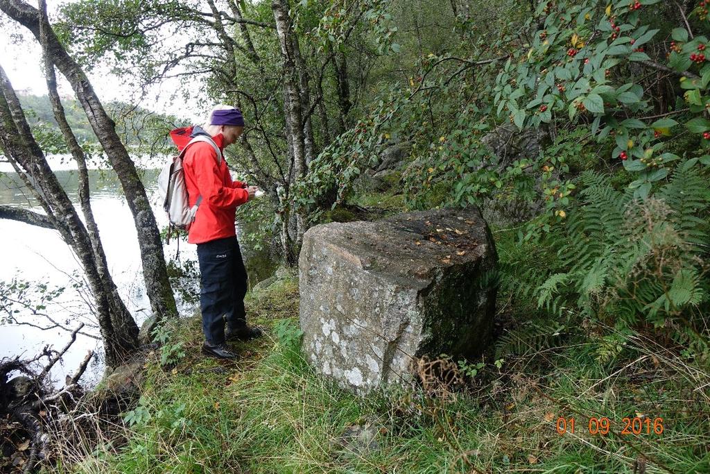 9 3.6 Observasjoner under befaring Delområde N: Under befaringen observerte vi en tydelig grov ur under skrenten og enkelte steinsprangblokker, de største på ca. 2 m 3.