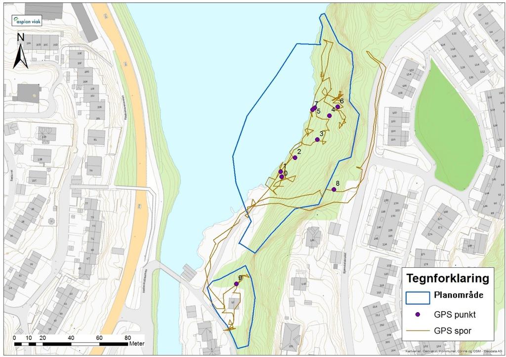 5 3 OMRÅDEBESKRIVELSE Planområdet er delt opp i to områder (kalt delområde nord og sør). Planområdet ligger rett øst om Hetlevikstraumen, Bergen kommune, og mellom 1-20 m o.h.