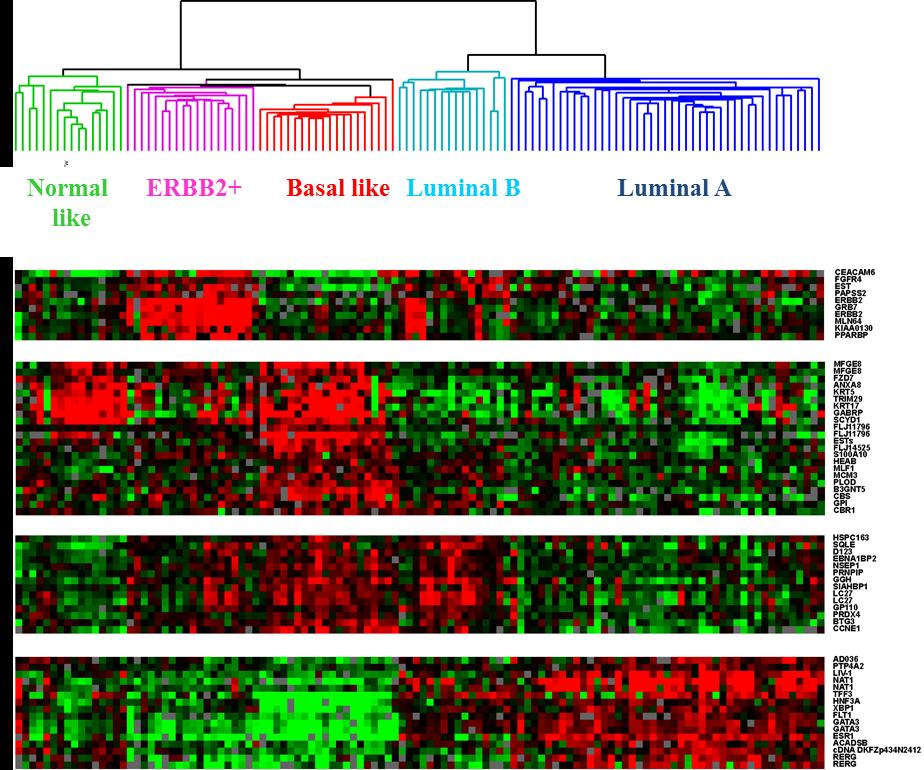 Multigentest - eksempel PAM50 intrinsicsubtypes Perou,