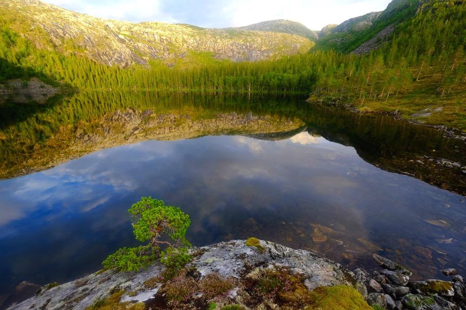 1. Organisering og roller Lomsdal-Visten nasjonalpark/njaarken vaarjelimmiedajve forvaltes av Lomsdal- Visten nasjonalparkstyre. Nasjonalparkforvalter Torhild Lamo er sekretariat for styret.