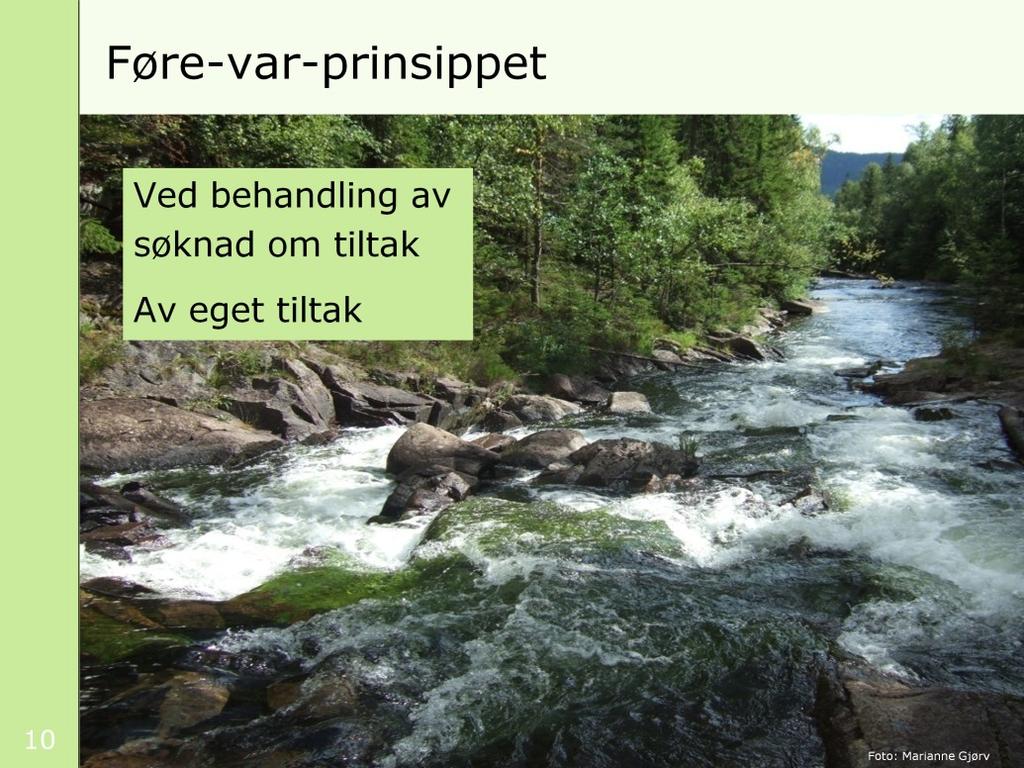 Føre-var-prinsippet er et annet sentralt prinsipp, som vi har fått nedfelt i naturmangfoldloven.