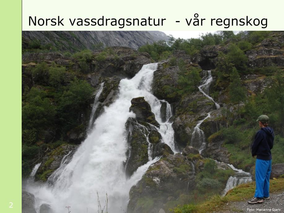 Svært mye naturmangfold er knyttet til våre vassdrag og vår vassdragsnatur. I tillegg utgjør mange av vassdragene store landskapsverdier, ja noen i kategorien spektakulære.