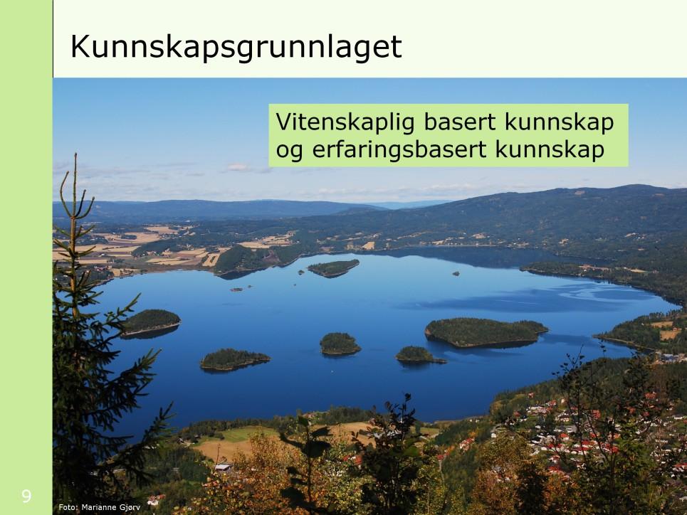 [Bildet viser Steinsfjorden]. Naturmangfoldloven stiller klare krav til kunnskapsgrunnlaget for offentlig beslutninger om natur, både vitenskapelig basert kunnskap og erfaringsbasert kunnskap.