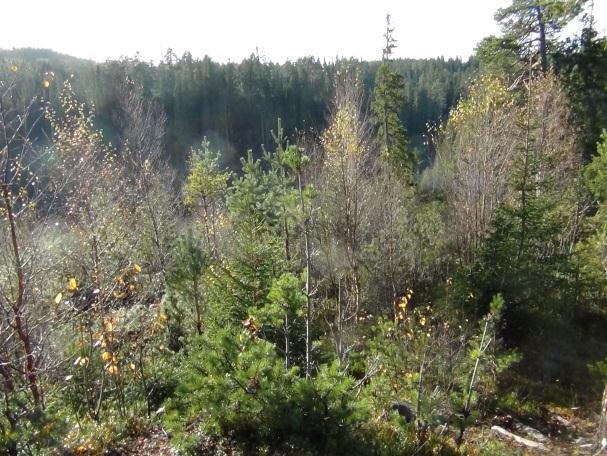 Nord-vest Snøen kom og gikk som den som regel gjør i oktober. Vi fikk med denne snøen et kort glimt av det vi kan vente oss av aktiviteter og gøy når vinteren virkelig setter inn.