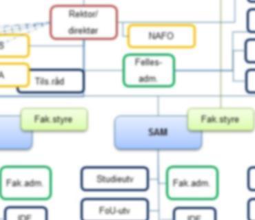 Styring og ledelse: Styringslinjer FUNN: Lang tjenestevei, Høgskoledirektør 3 Formelle og uformelle