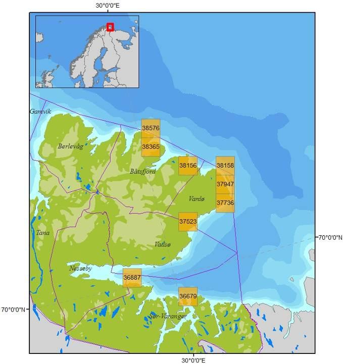6.5.3 Iskant Ingen av modelleringene viste stranding av olje til iskanten og en vurdering av skadepotensialet for iskant ved utslipp fra denne lokaliteten er dermed ikke relevant. 6.5.4 Strandhabitat