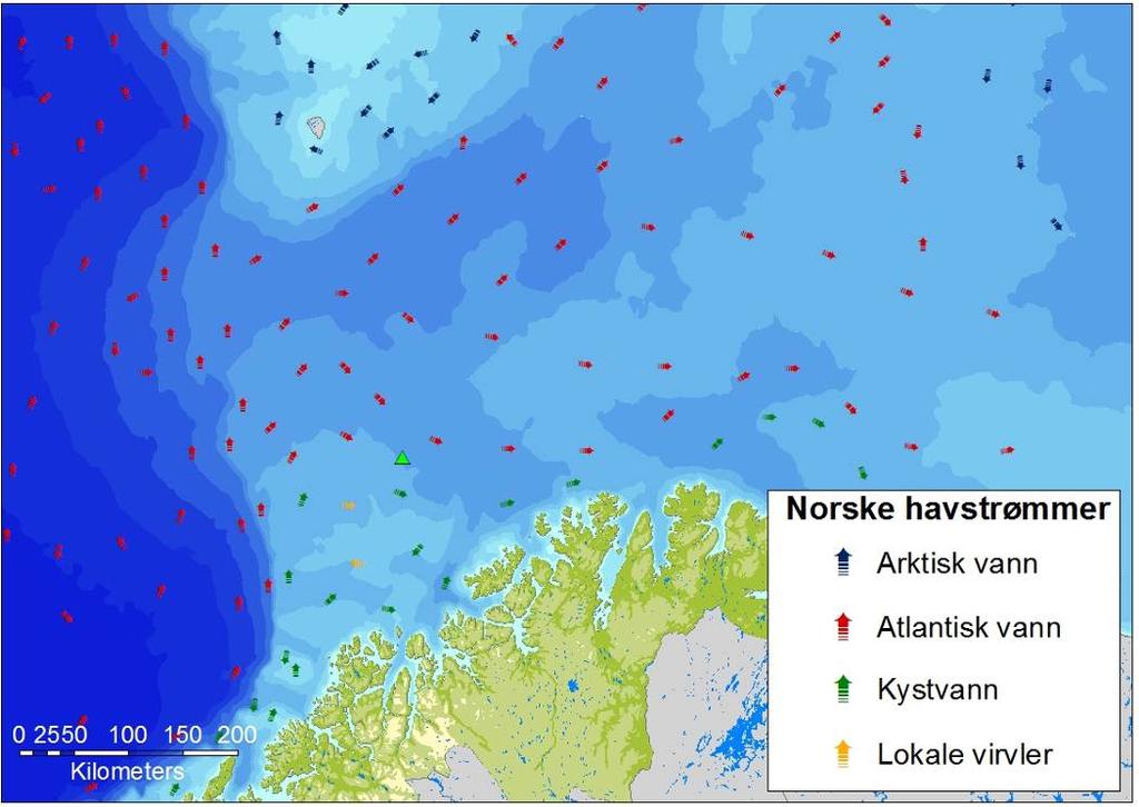 Figur 4-1 Strømforhold i Barentshavet (Sætre 1999). 4.2 Sjøfugl 4.2.1 Introduksjon Barentshavet er en viktig sjøfuglregion i global sammenhengen.