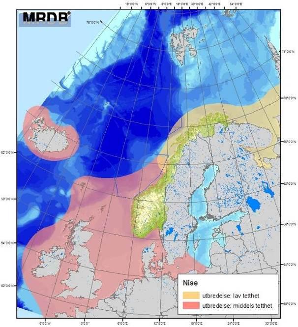 Figur 4-17 Utbredelse av tannhvalartene nise, kvitnos og kvitskjeving langs norskekysten (HI 2007). Vågehval finnes i alle havområder på den nordlige halvkule.