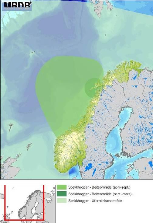 Toksiske virkning av olje grunnet dens kjemiske sammensetning (aromatiske hydrokarboner) Råolje avgir giftige lettflyktige komponenter til lufta.