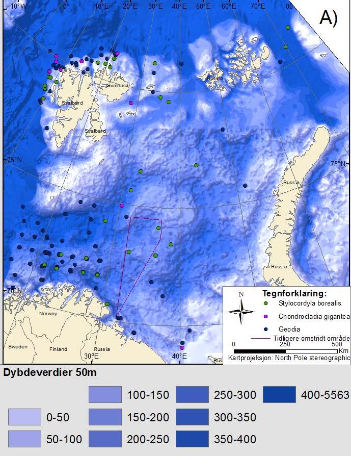 Kunnskapen om bunndyrdsamfunnet lengre nord og øst i Barentshavet kommer fra langtidsovervåkning av bunnfauna ved registrering av bifangst med bunnfisktrål ved trålstasjoner i forbindelse med de