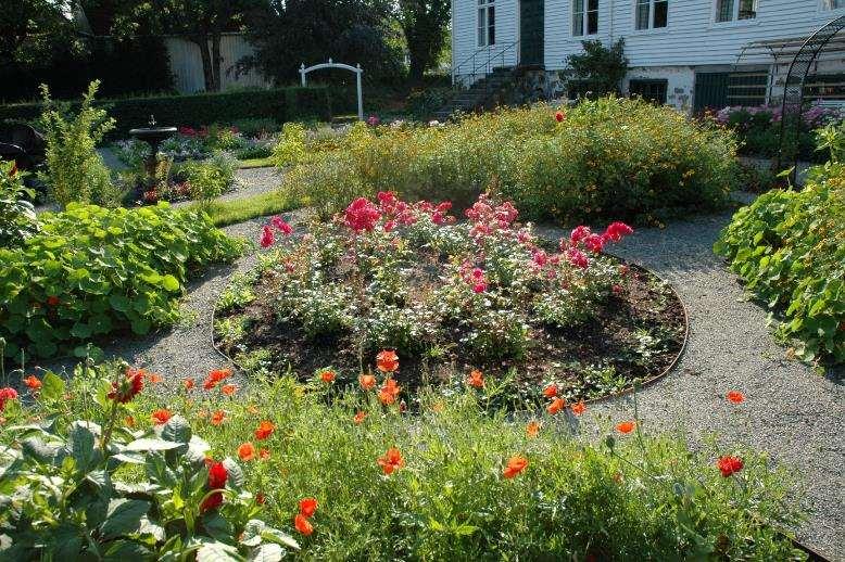 Centralbedet fyldt med roser, de andre med blomkarse,