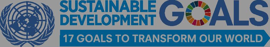 THE 2030 AGENDA FOR SUSTAINABLE DEVELOPMENT SDGs 1, 2, 8, 9, 10, 17 SDGs 1, 3, 4, 5, 8 SDGs 6, 7,