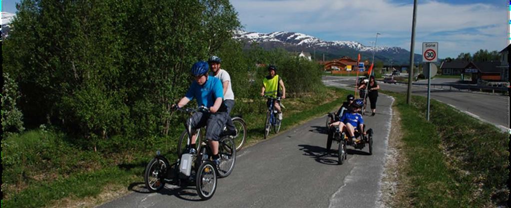 PhD- prosjektet «Aktivitetshjelpemidler, kunnskap og deltakelse» Tilknyttet Nasjonal kompetansetjeneste for barn