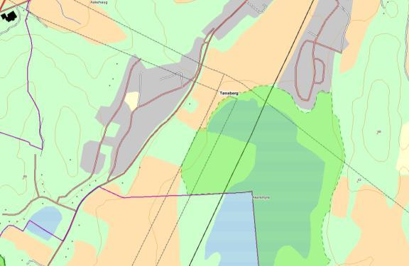 I henhold til kunnskapsgrunnlaget til RPBA (regional plan for bærekraftig arealpolitikk) viser temakart landbruk at arealer på østsiden av vegen er registrert som høy produktiv skog og middels