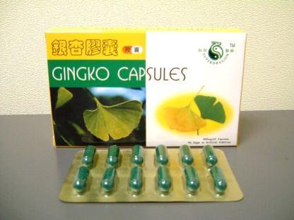 Ginkgo Ephedra Rod Ginkgo je nekada bio široko rasprostranjen, a danas