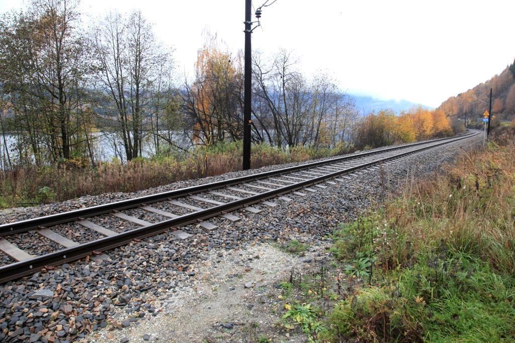 3 BRUKERINTERESSER. TIDLIGERE OG NÅVÆRENDE BRUK 3.2 Landbruk Flomarealene i Gudbrandsdalen ble tidligere utnyttet til landbruksformål. Beite og slått har vært tradisjonell bruk bakover i tid.