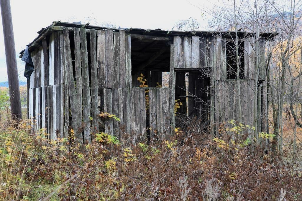 Med unntak av ei forfallen løe (trolig redskapsbu) ved Gautøya (gnr/bnr 77/6) (figur