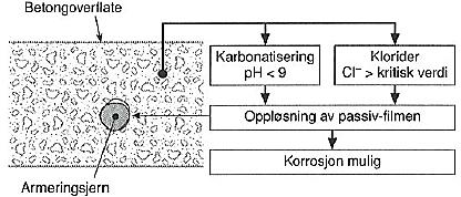 Figur 3.4: Korrosjon på armering etter at passivfilmen er brutt [11] Figur 3.