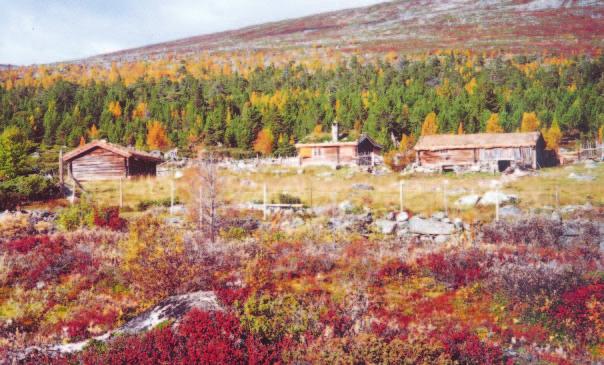 7. Konsekvensutgreiingar vudinntrykket er at vern etter naturvernlova ikkje medfører vesentlege nye avgrensingar i høve til bygningar på tun og i seterområde enn det som følgjer av dagens forskrifter.