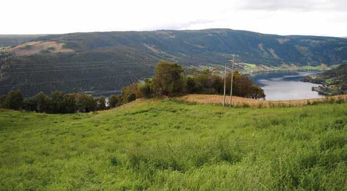 I dalbunnen er det registrert flere gravminner i form av gravrøyser og gravhauger. Hovedmengden av dagens eksisterende gravhauger ligger med utsikt over Strondafjorden.