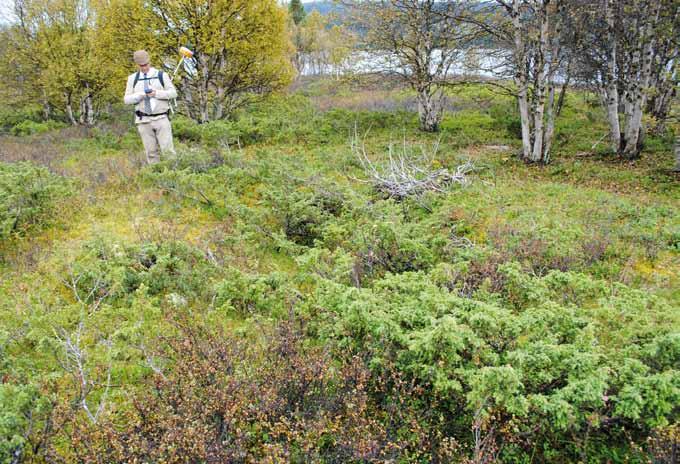 4 Presentasjon av området 4.1 Nord-Aurdal kommune, Oppland Nord-Aurdal ligger i Valdres. Administrasjons-senteret er Fagernes. I oktober 2011 var det 6408 innbyggere i kommunen (www.nord-aurdal.