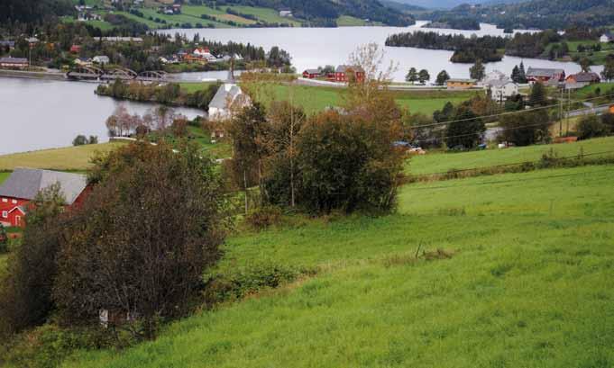 lette iherdig. Trolig må området avtorves dersom de skal finnes igjen. Figur 4. Id 3617-2. Kullgrop i skogen ved Svanhelle. Foto: Anneli Nesbakken, NIKU 2011.