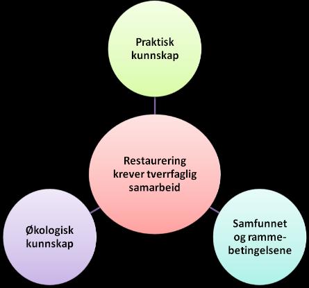 Rescape skal: gjøre økologisk restaurering bedre, mer effektiv og mer relevant og bidra til å oppnå nasjonale og internasjonale forpliktelser WP 5 Restaureringsstrategier & nasjonale