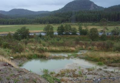 Vi gjør samtidig oppmerksom på at dersom virksomheten mottar klager på støy, må den umiddelbart sørge for at det blir gjennomført nye støymålinger av kvalifisert støykonsulent.