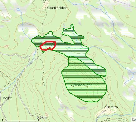 Resultat og diskusjon Om lag 20 mål av Bjørnhaugmyra ble slått i 2017. Dette er mye mer enn de siste årene til sammen. Dette skyldes nytt og bedre utstyr.