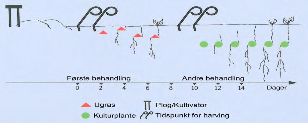 Falskt såbed/plantebed Metoden stimulerer spiring av frøugras Krever gode