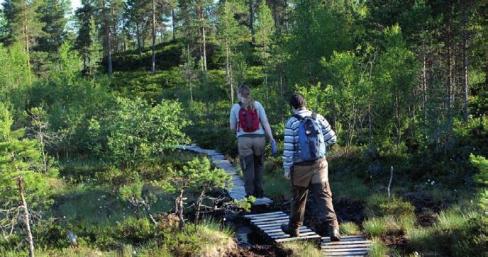 Gårdsveien går over til sti opp til Torvmyra og tilbake