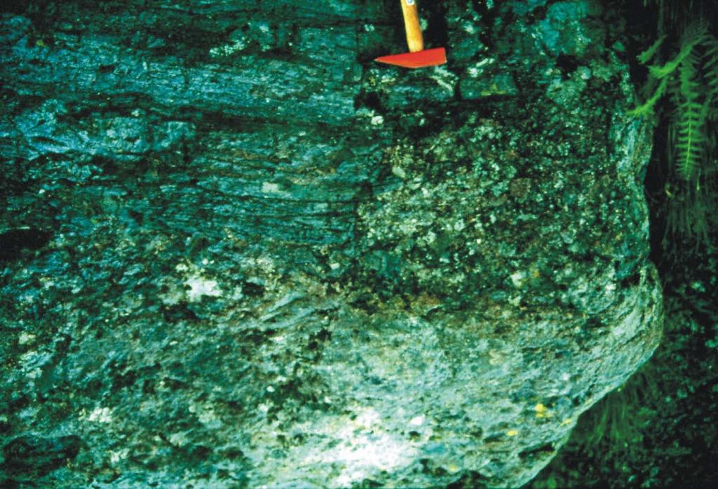 NØ SV Fig. 3.4. I Fesselia er devonske sedimenter avsatt inkonformt på blålig kvartsitt i Høyvikgruppen.